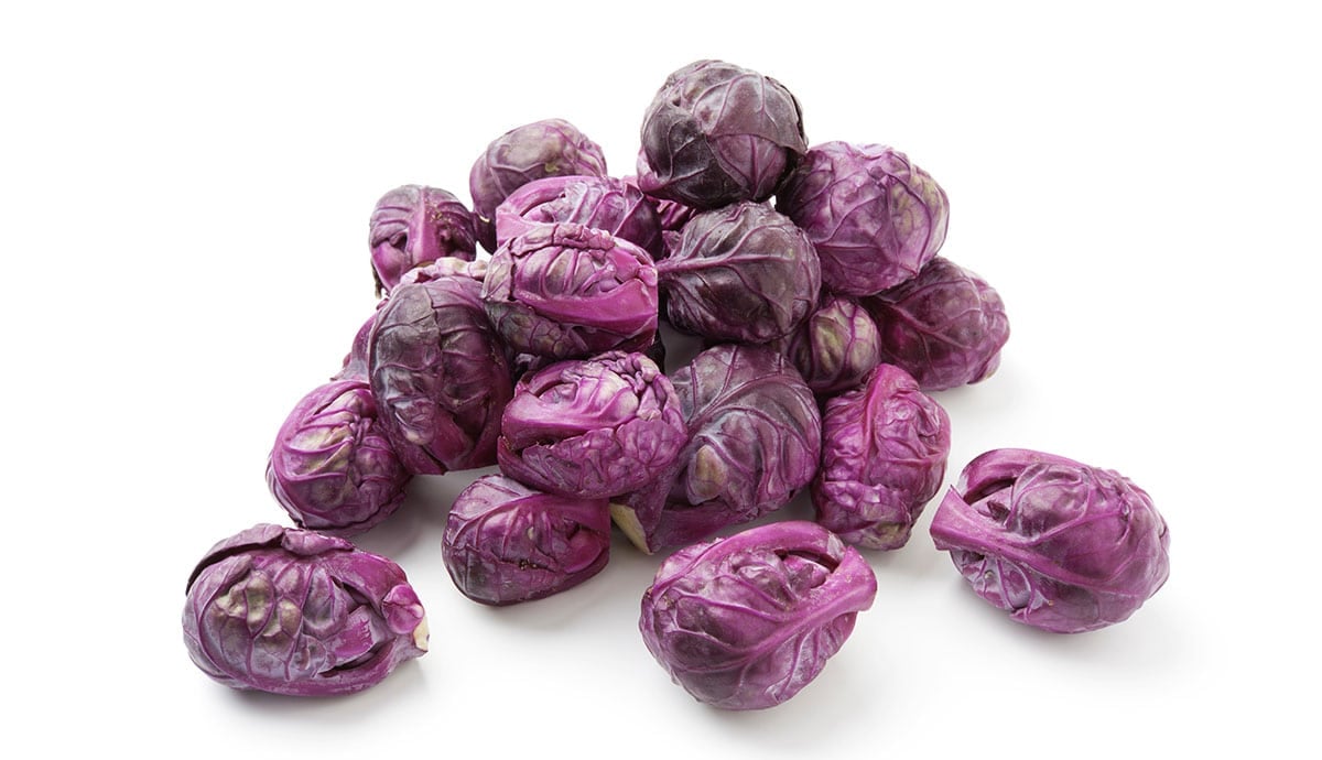 Purple Brussels sprouts on a white background.