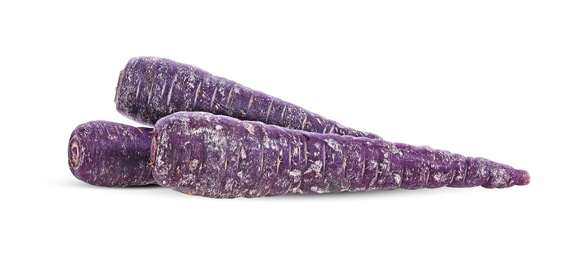 Purple carrot on a white background.