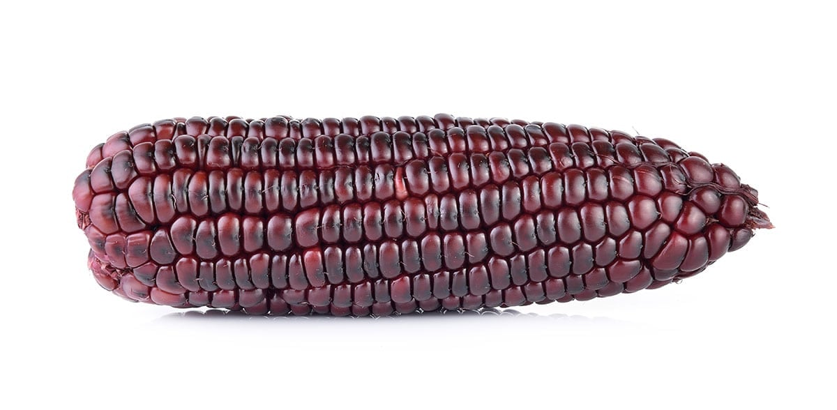 Purple corn on a white background.