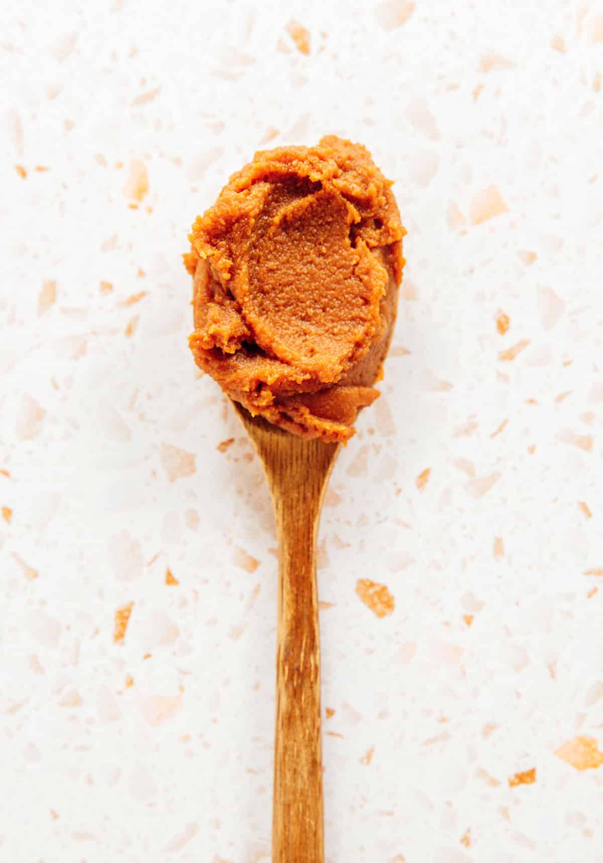 Miso paste on a spoon.