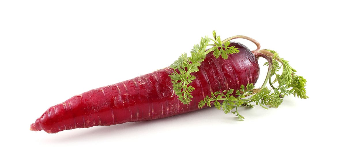 Red carrot on white background.