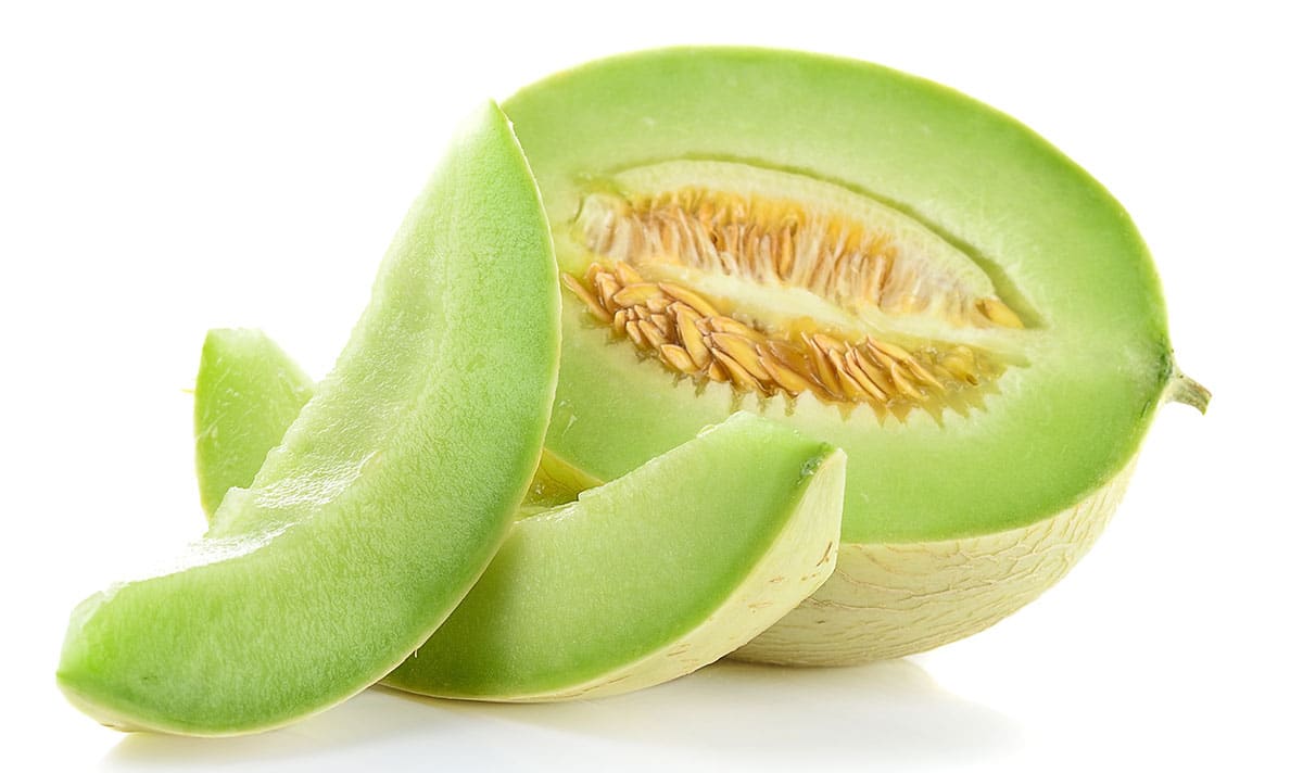 Honeydew isolated on a white background.