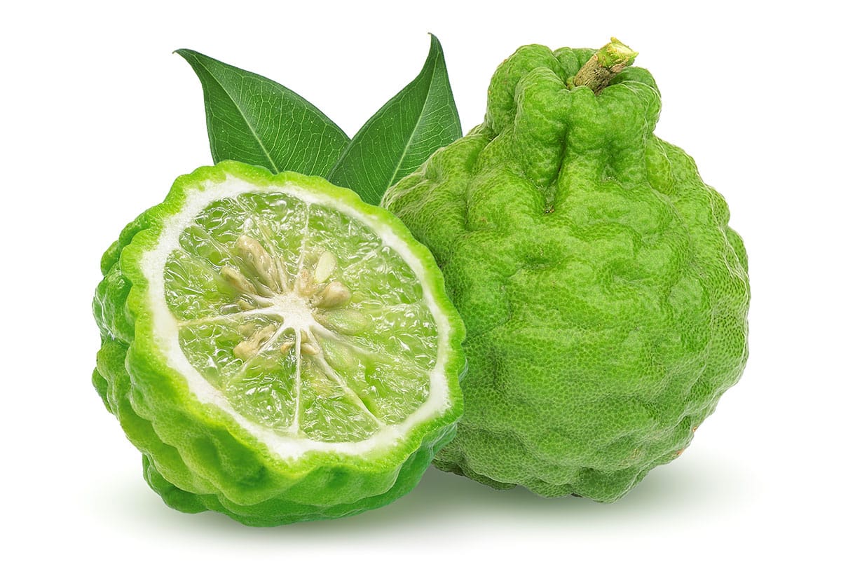 Kaffir lime isolated on a white background.