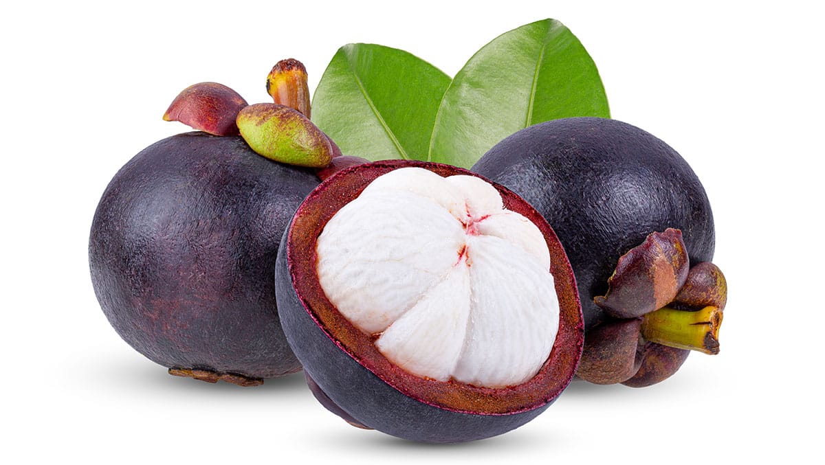 Mangosteen isolated on a white background.