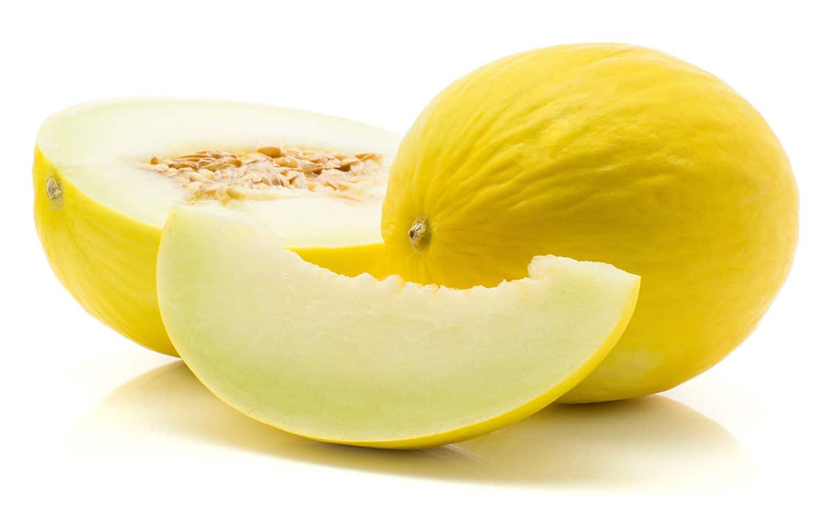 Canary melon on white background.