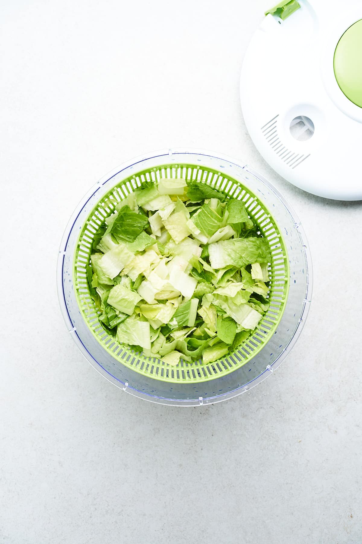 Washing lettuce in a salad spinner.