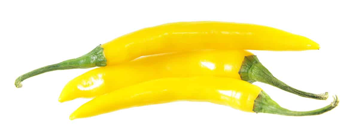 Yellow chili pepper on white background.