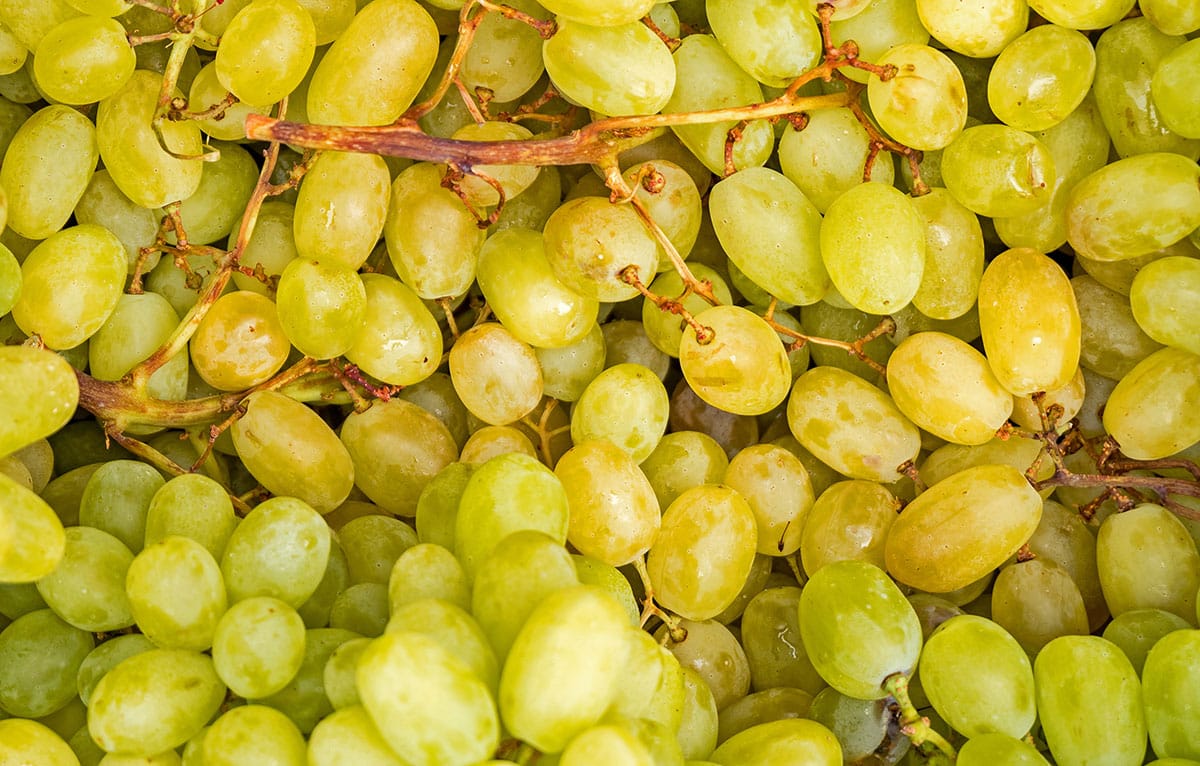 Yellow grapes.