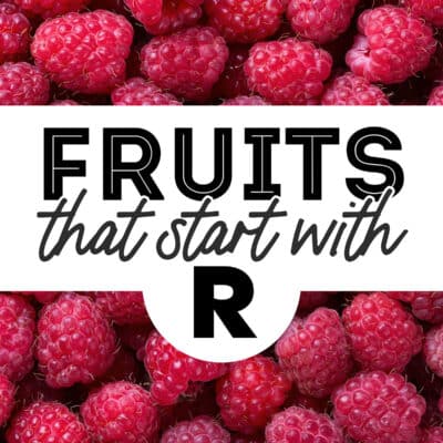 Collage that says "fruits that start with R"