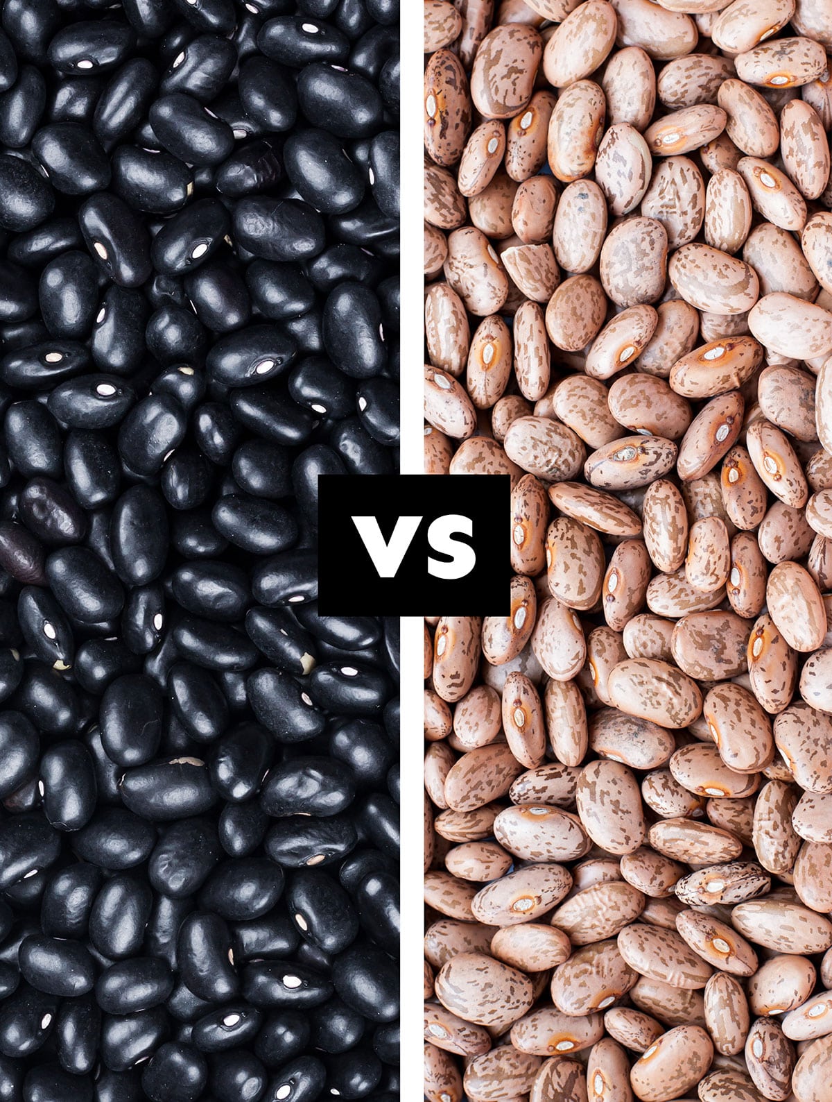 Collage with black beans vs pinto peans.