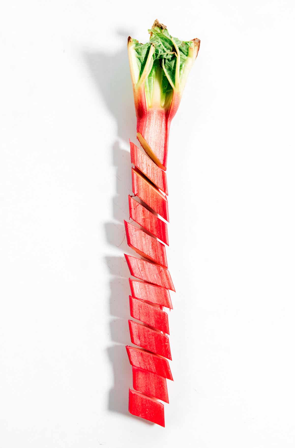 Cutting a rhubarb stalk on a white background.