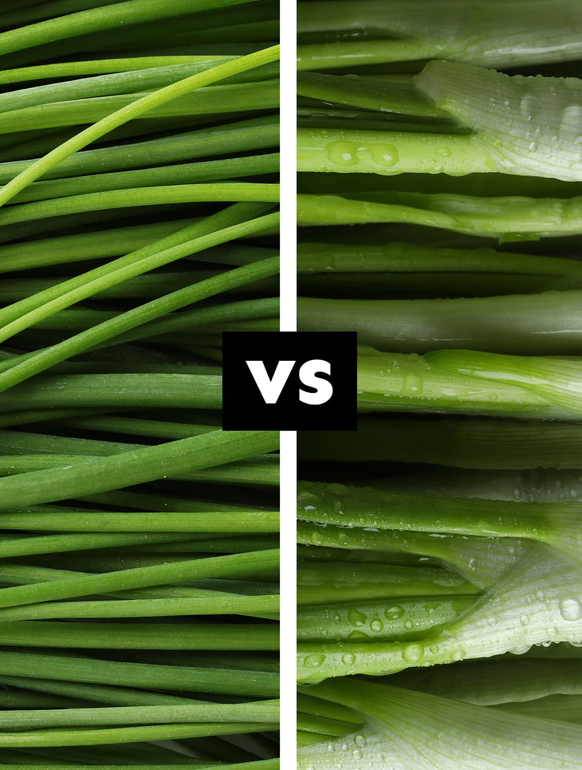Chives vs green onions.