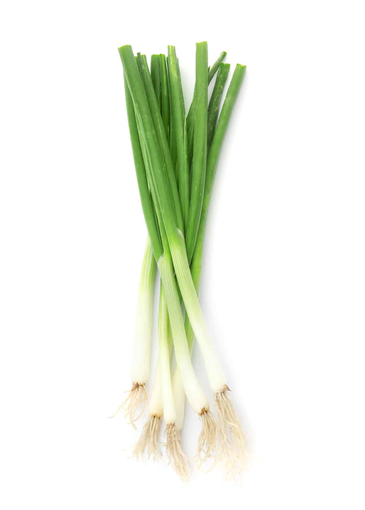 Green onions on white.