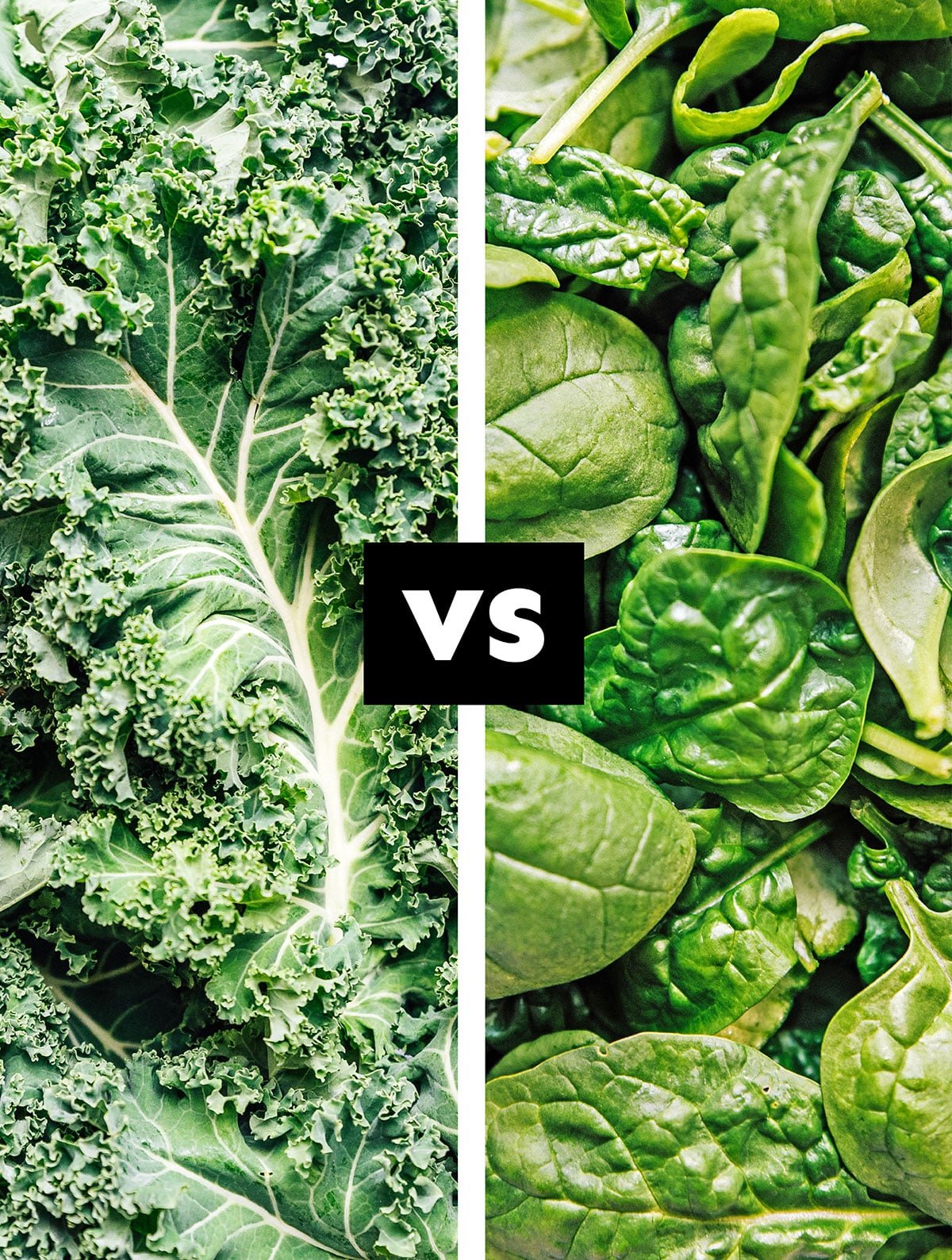Collage with kale vs. spinach.