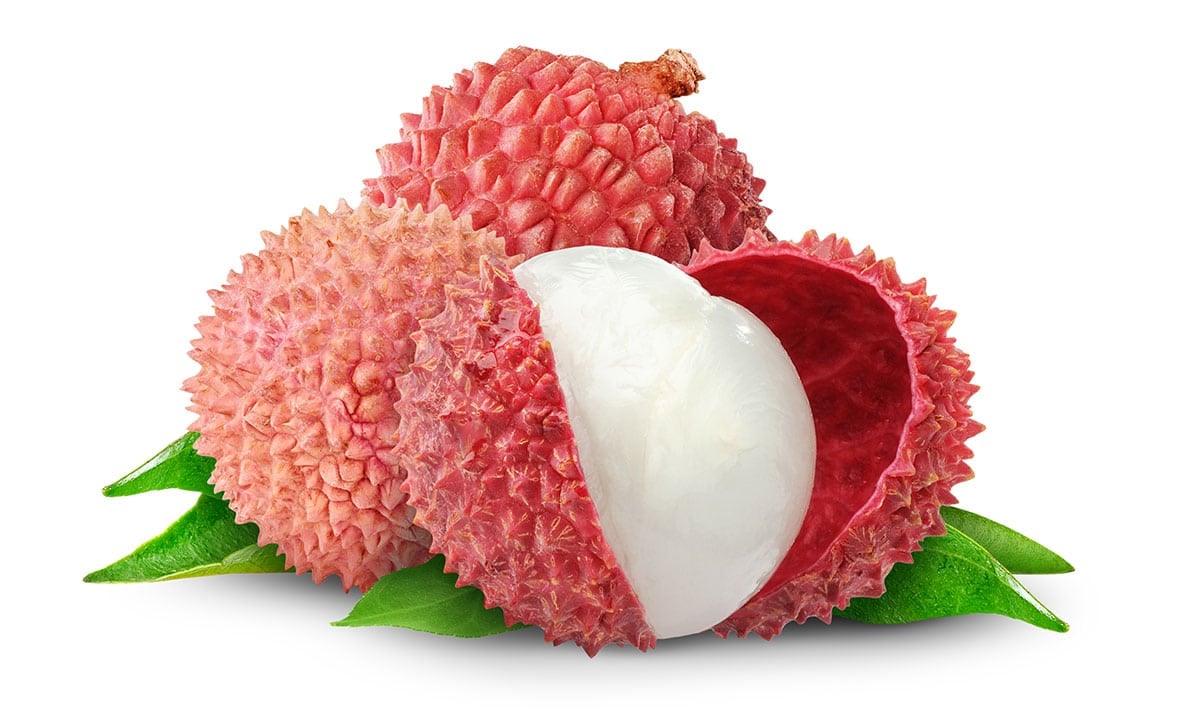 Lychees on white background.