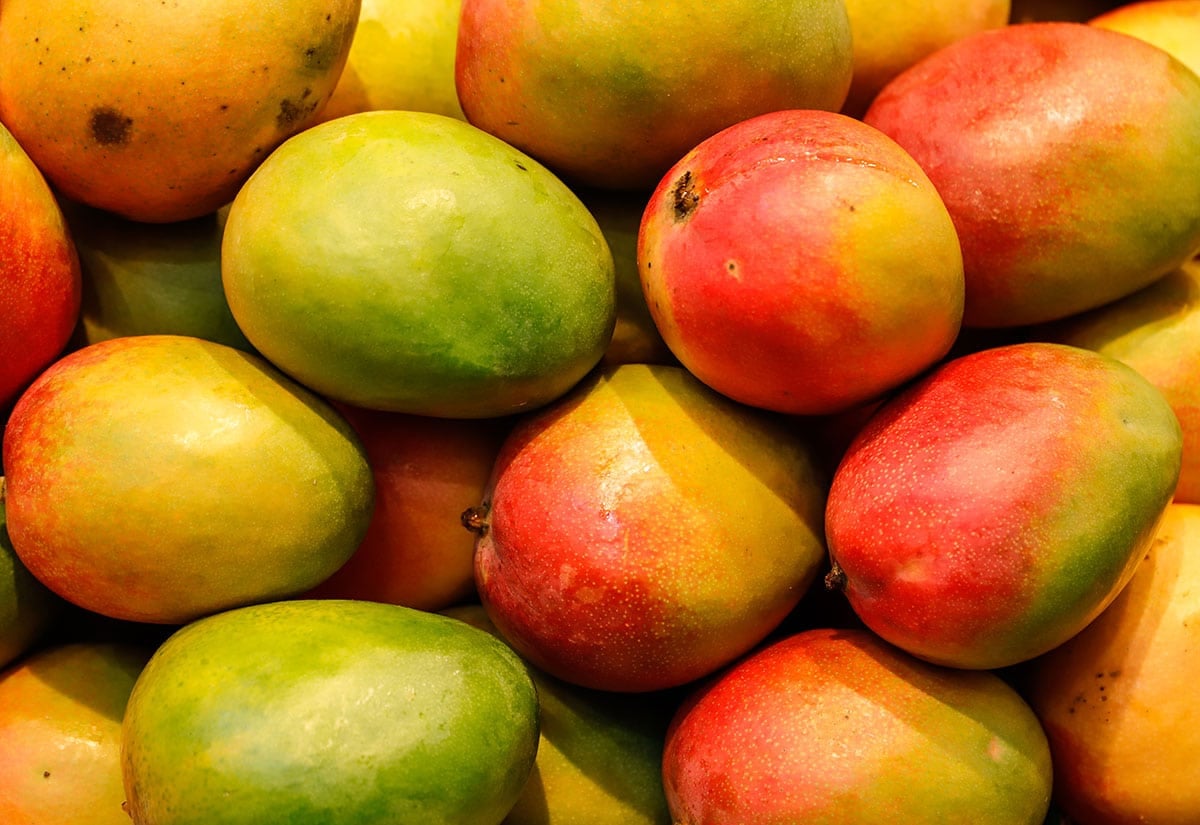 Many mangoes.