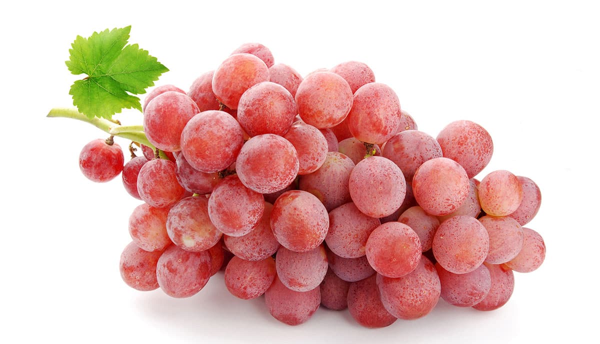 Pink Muscatel Grape.