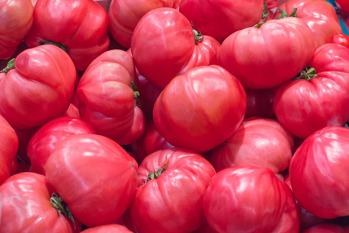 Pink tomatoes.