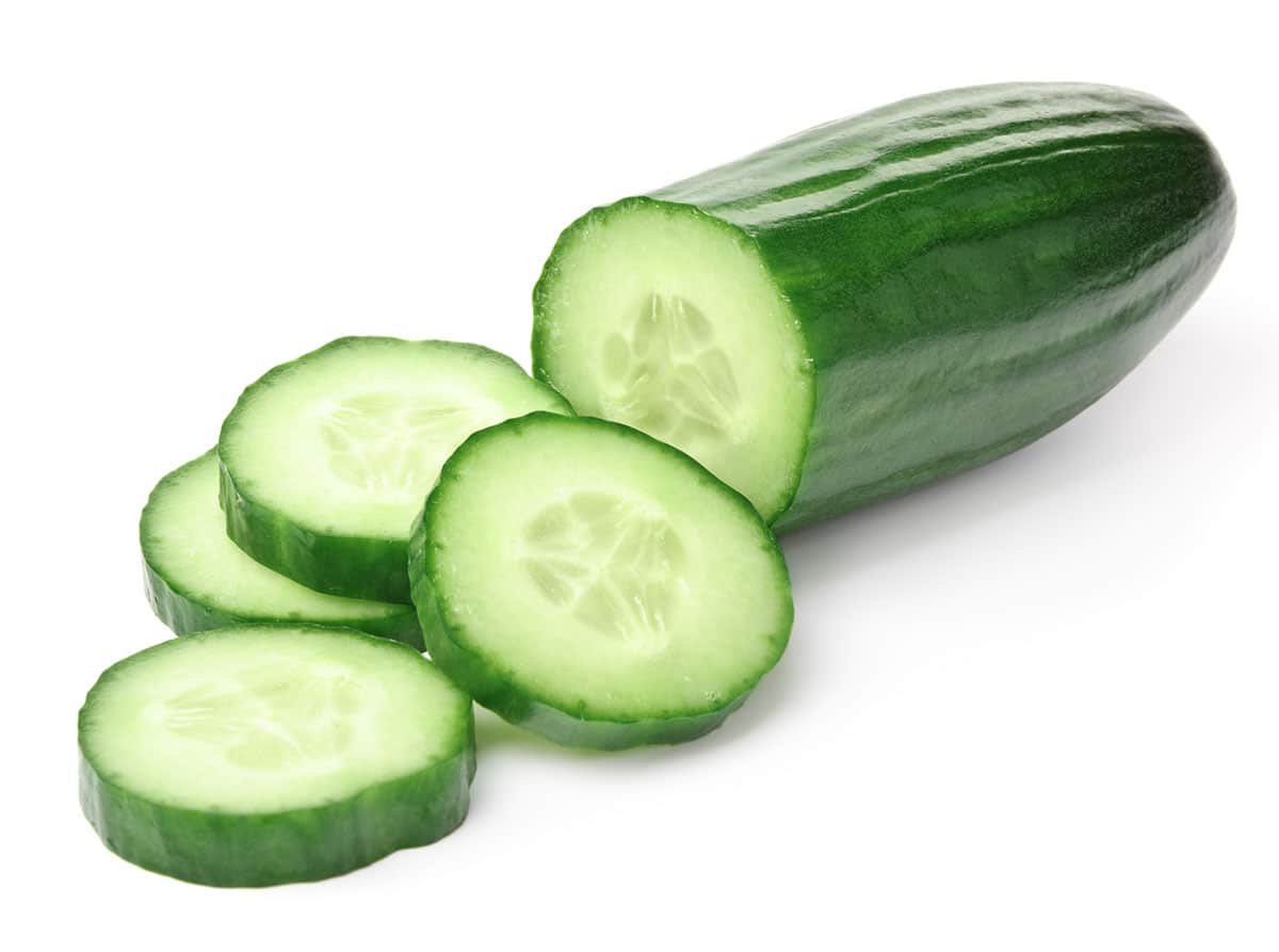 American Slicing Cucumber on white background.