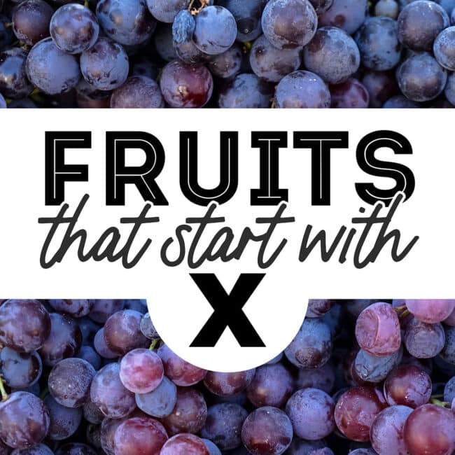Collage that says "fruits that start with X".