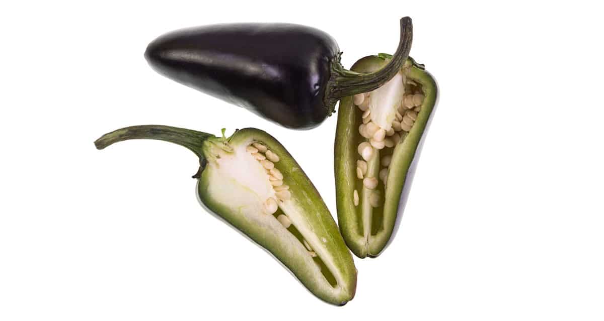 Purple Jalapeno Pepper.