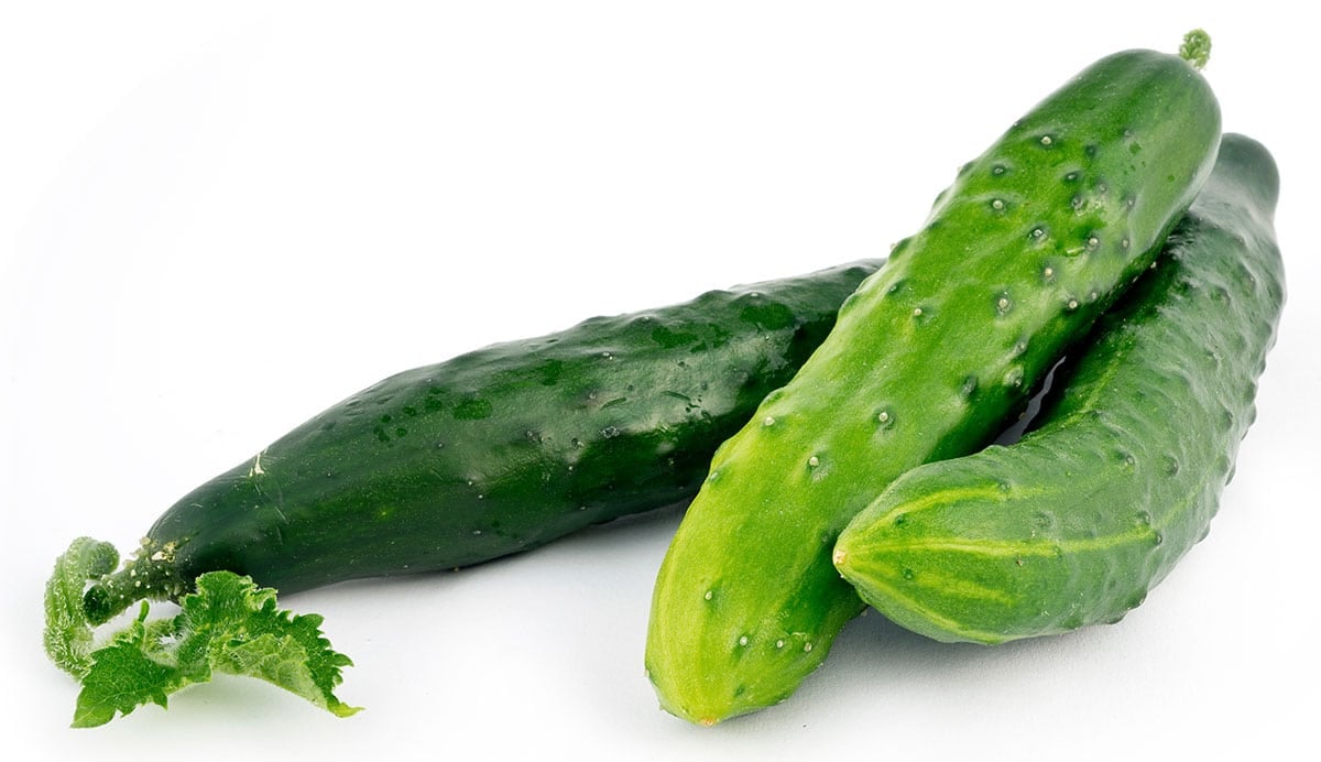 Tanja Cucumber.