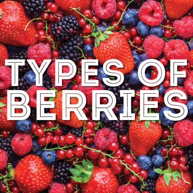 Collage that says "types of berries".