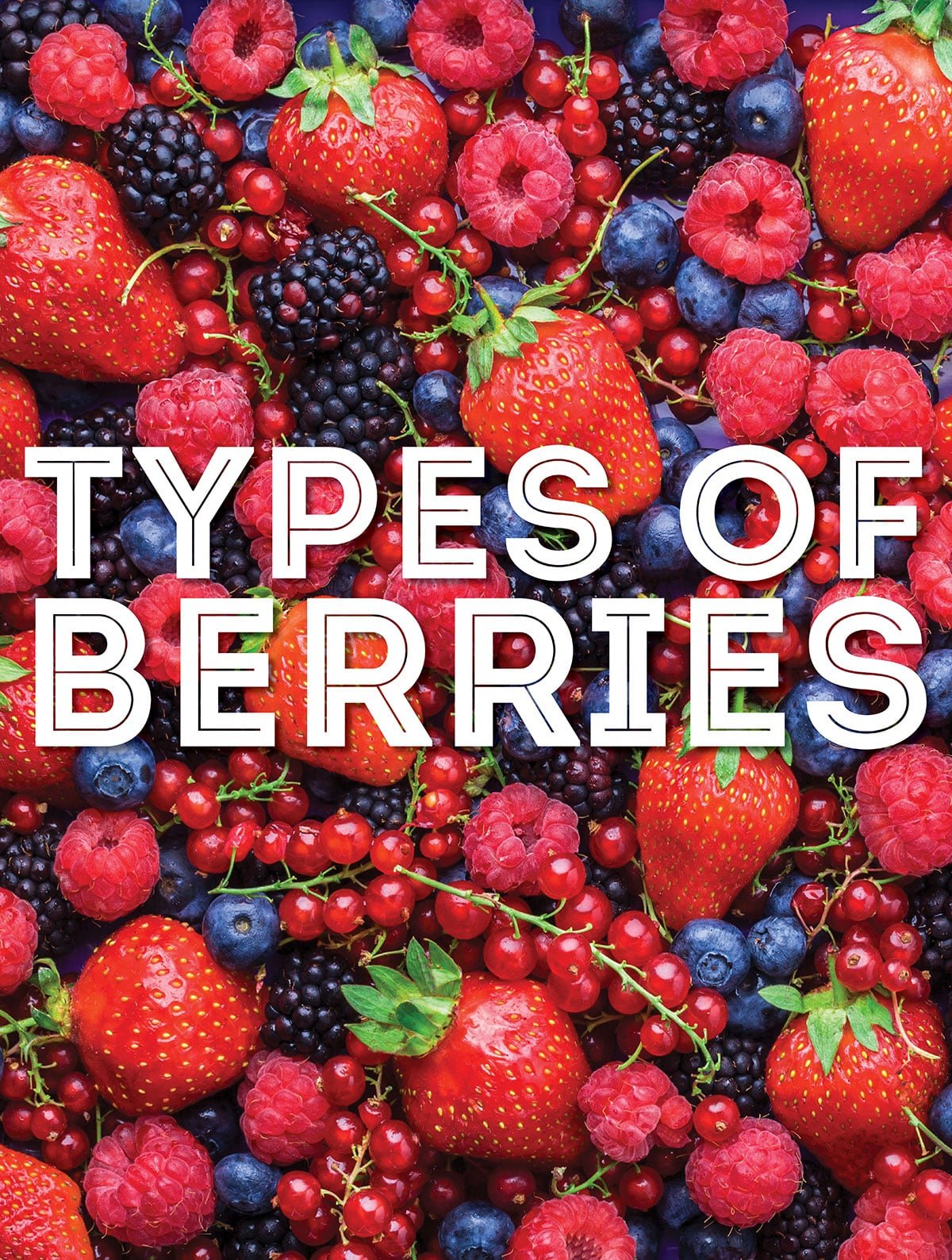 Collage that says "types of berries".