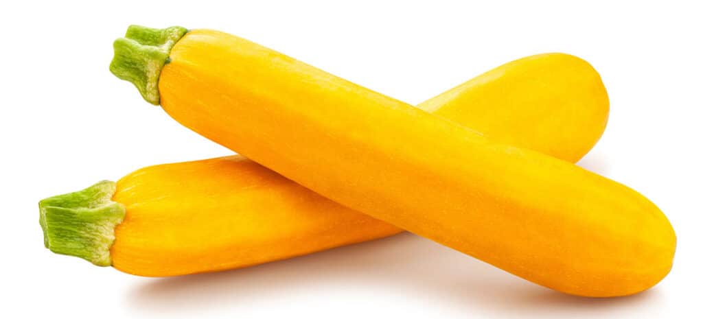 Yellow Zucchini.