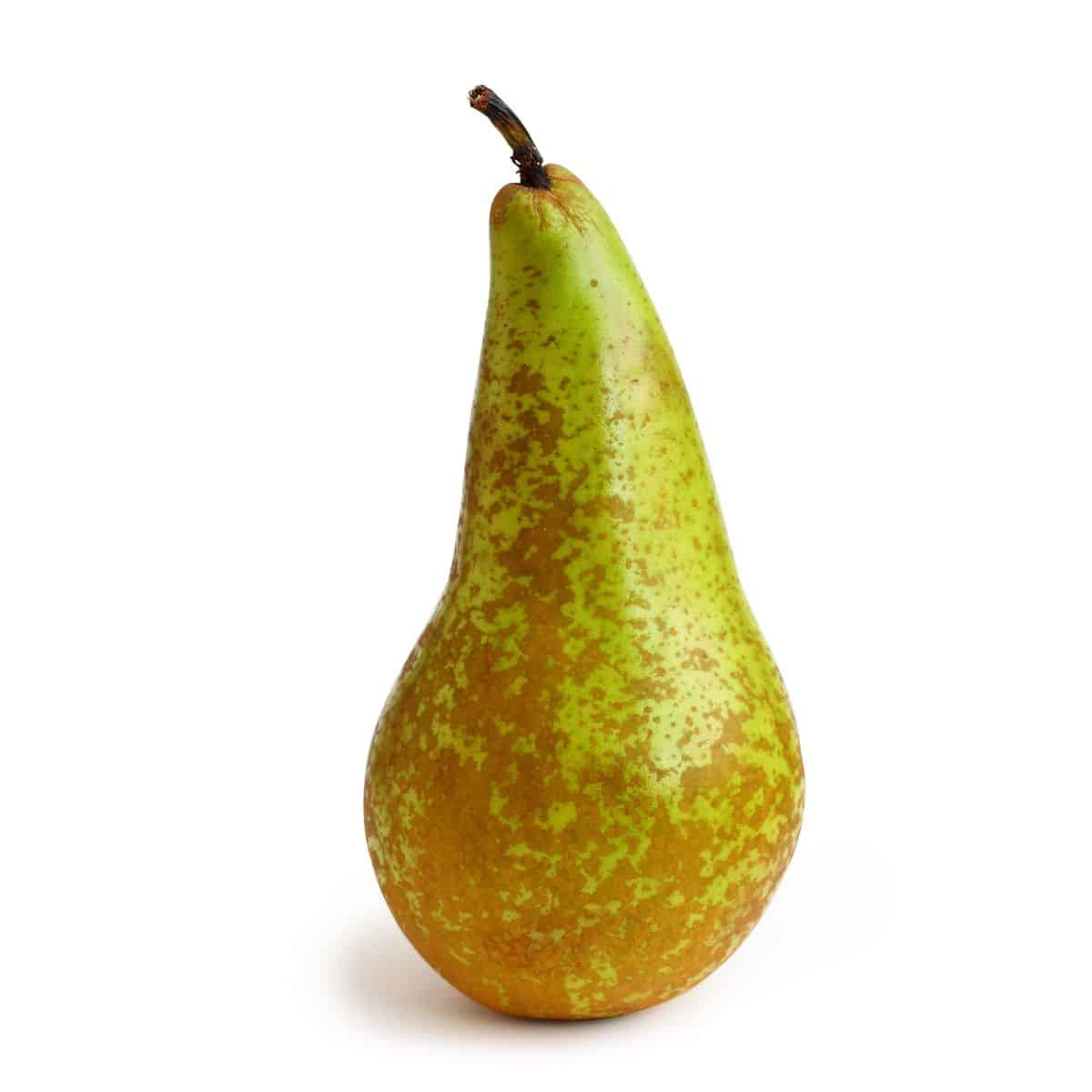 conference pear on a white background.
