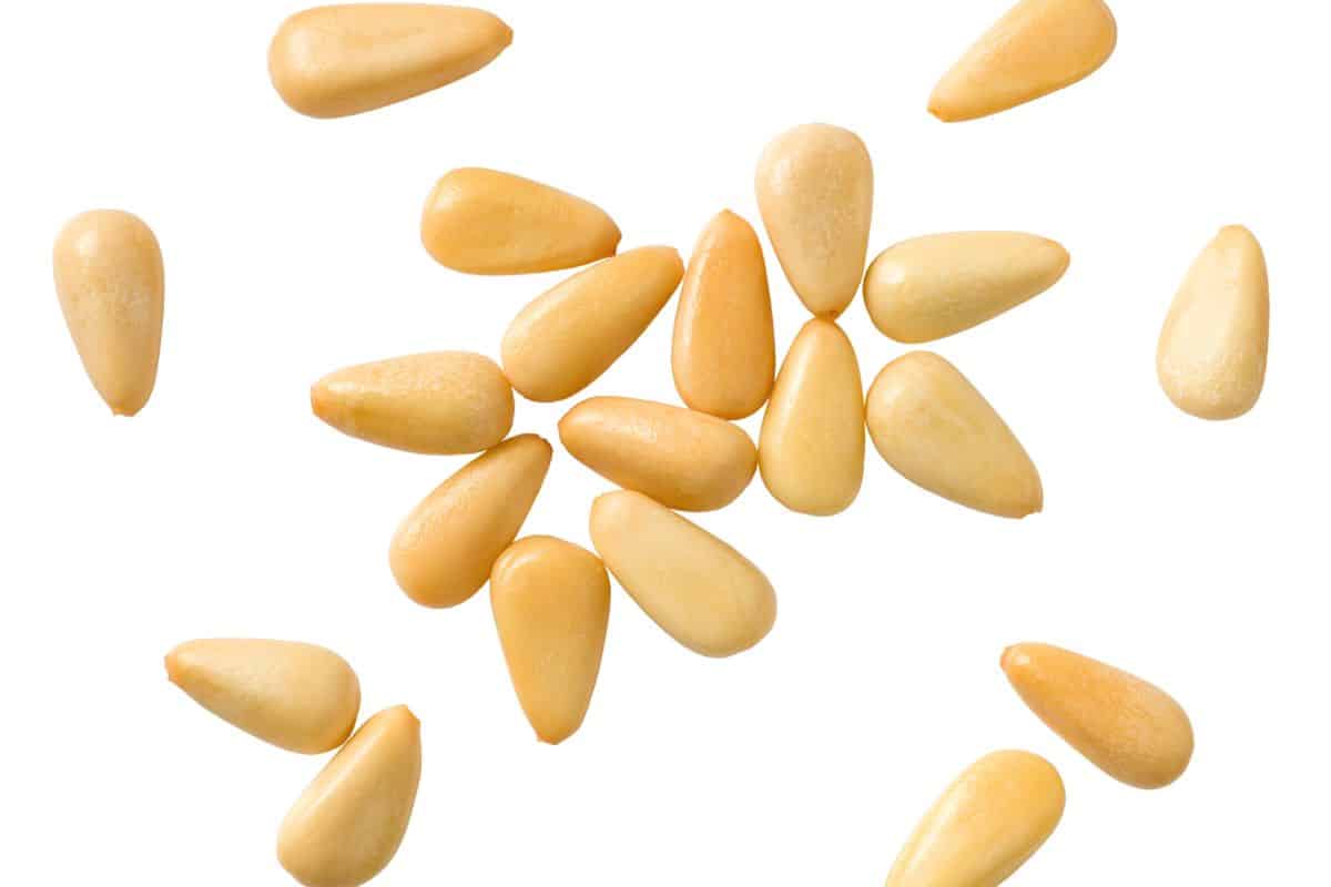 pignoli nuts on a white background.