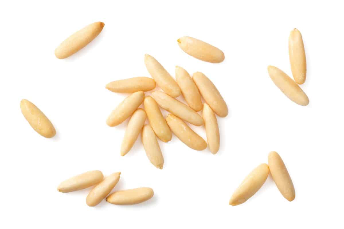 pine nuts on a white background.