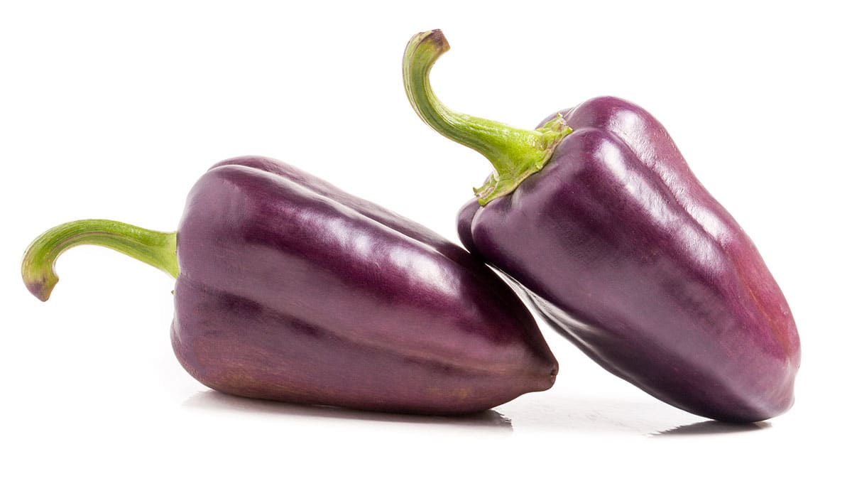 Purple bell peppers.