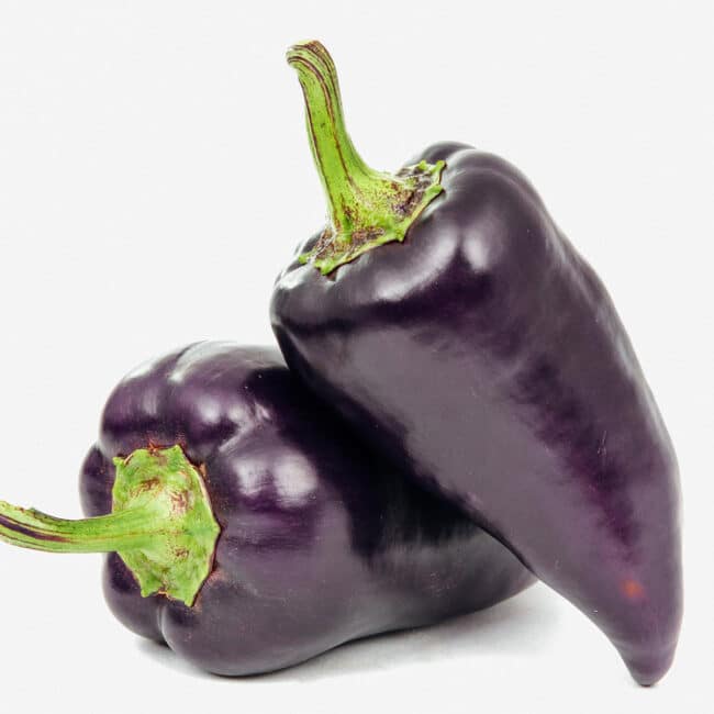 Purple bell peppers on white background.