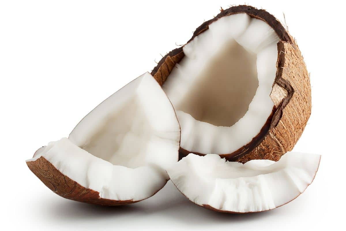 Xylocarp coconut on a white background.