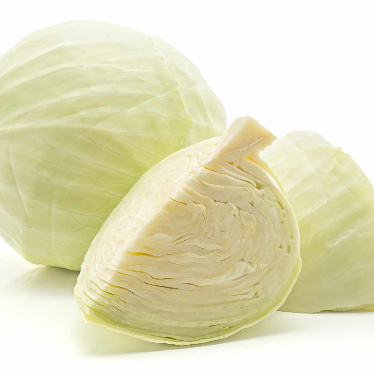 Drumhead cabbage on a white background cut open.