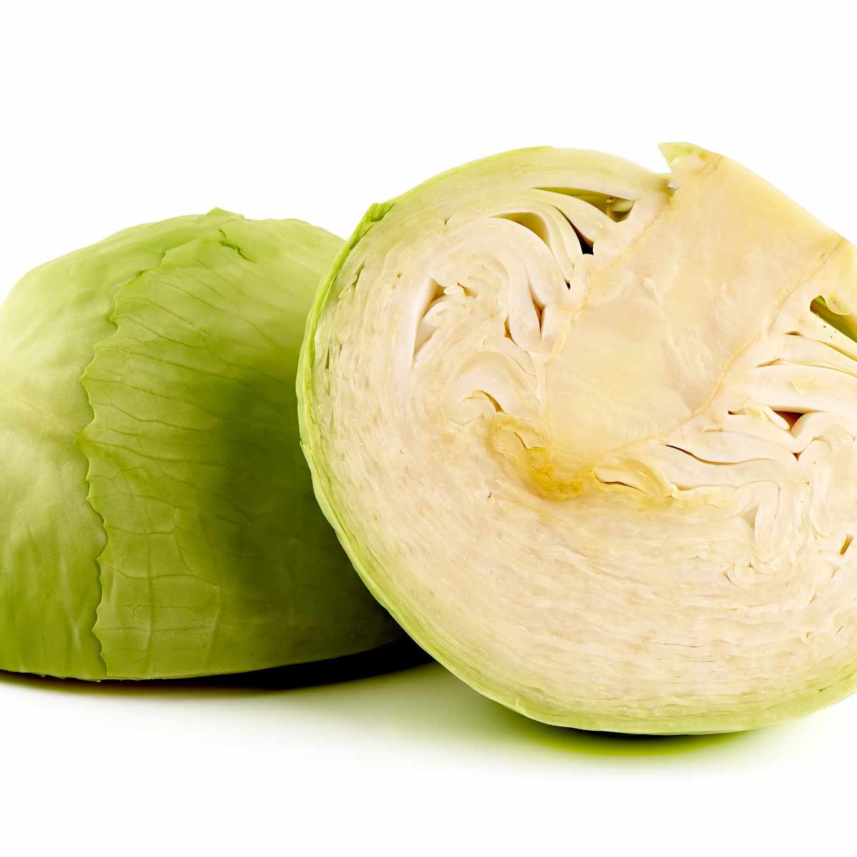 Green cabbage sliced open on a white background.