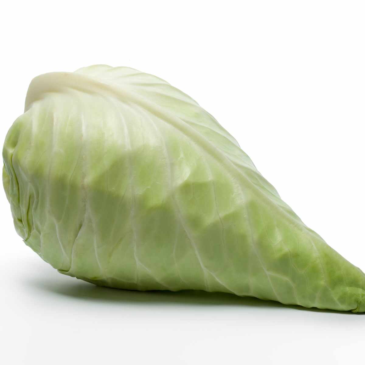 hispi cabbage on a white background.