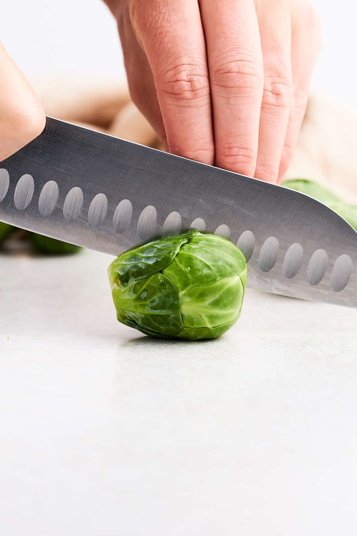 Cutting a Brussels sprout in half.