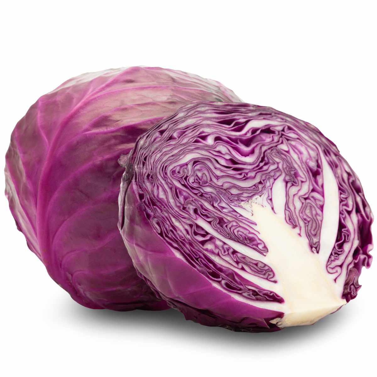red cabbage sliced open and on a white background.
