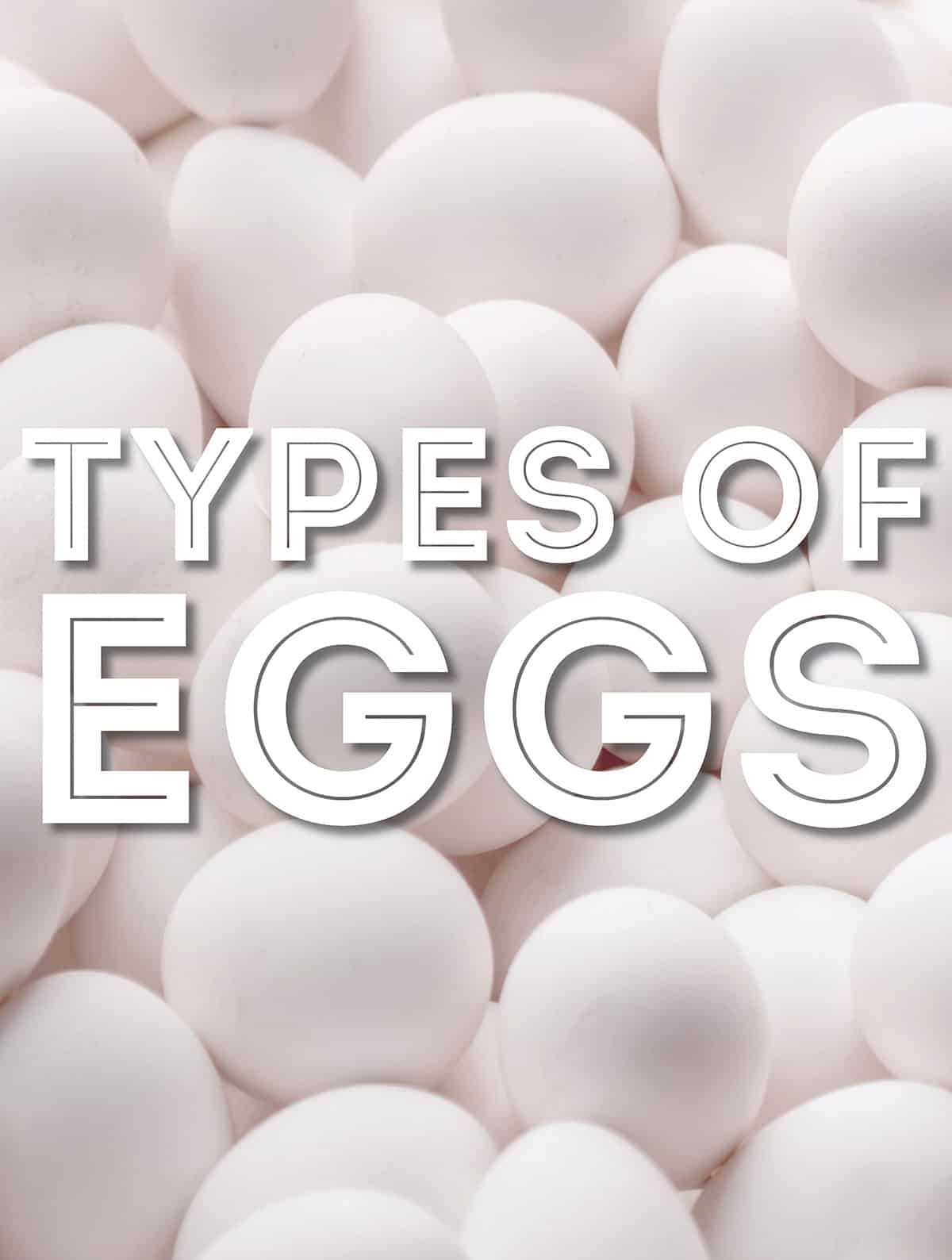 Collage that says "types of eggs".