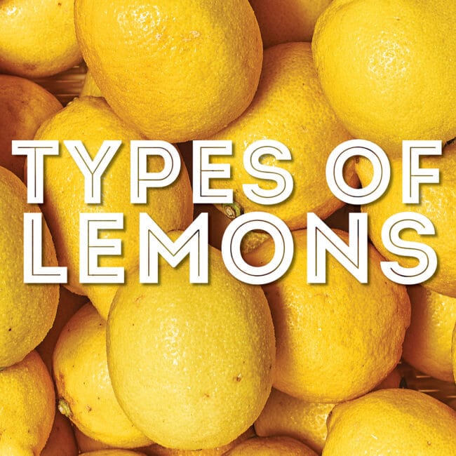 Collage that says "types of lemons".
