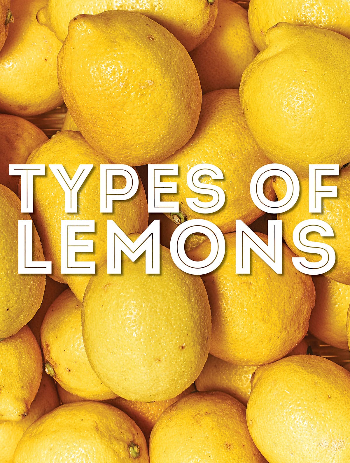 Collage that says "types of lemons".
