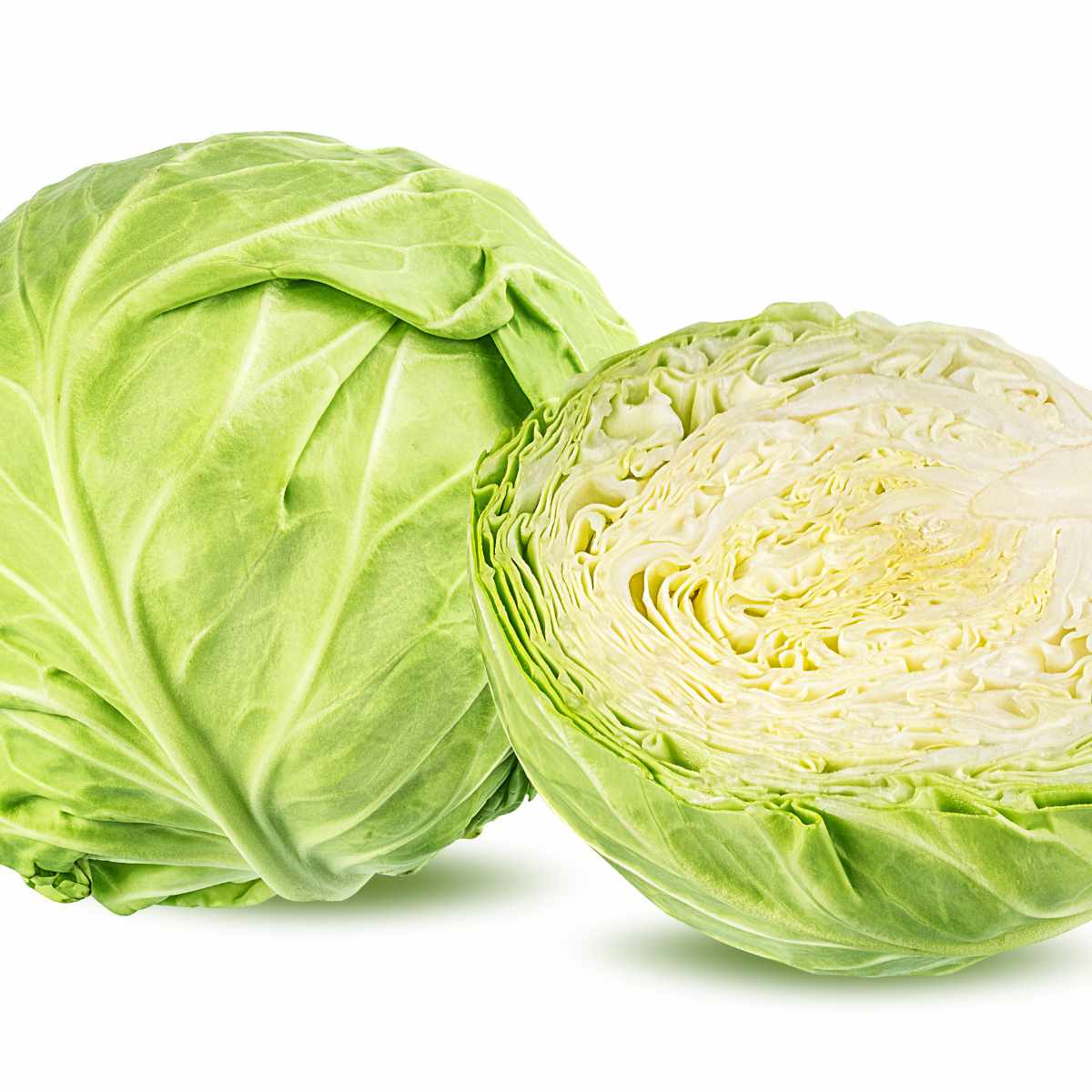 White cabbage on a white background sliced open.