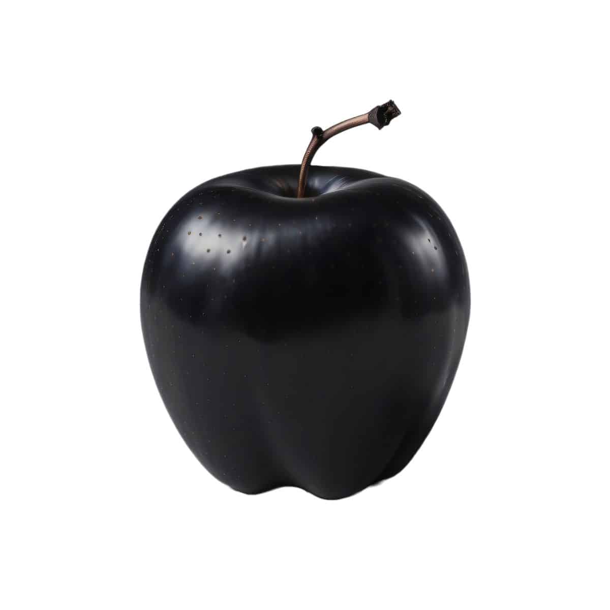A black apple on a white background.