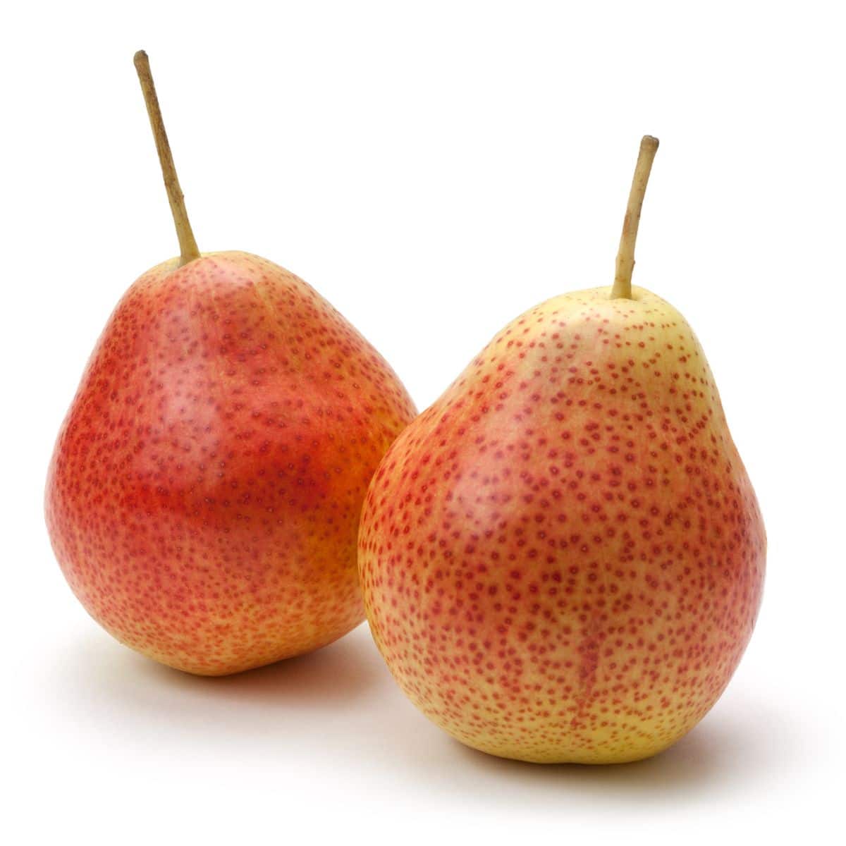 Forelle pears on a white background.