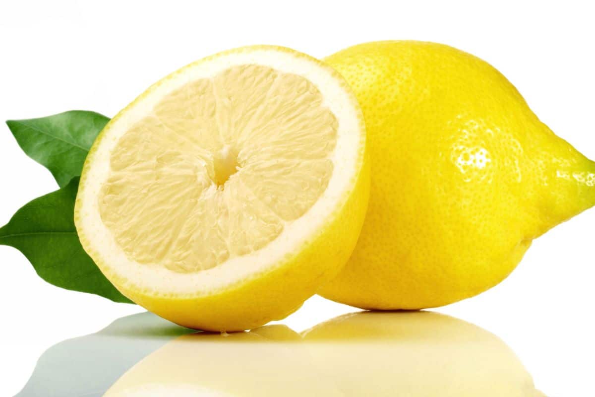 A gossamer glow lemon on a white background.