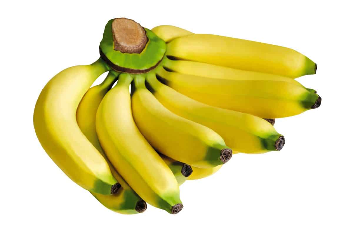 A bunch of gros michel banana on a white background.