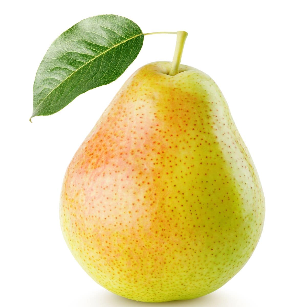harrow sweet pear on a white background.