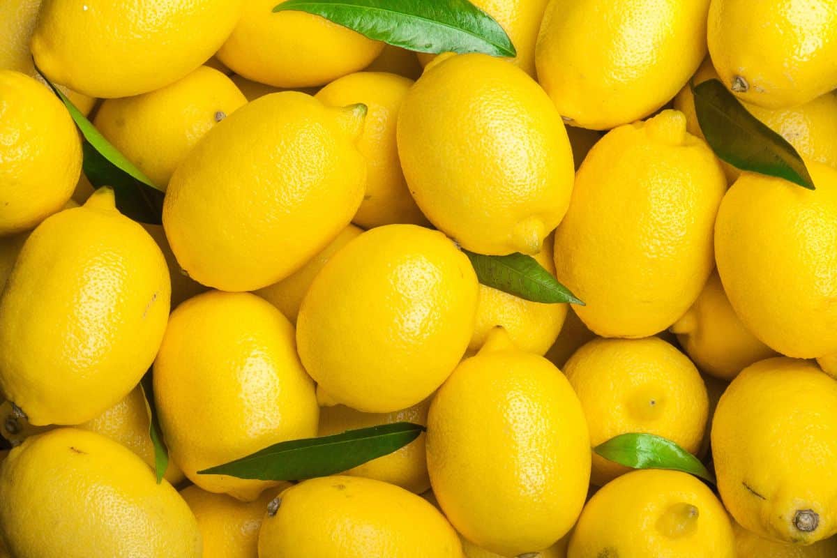 Many honeydew lemons.